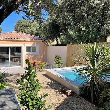 Magnifique Villa Avec Piscine En Provence Bédarrides エクステリア 写真