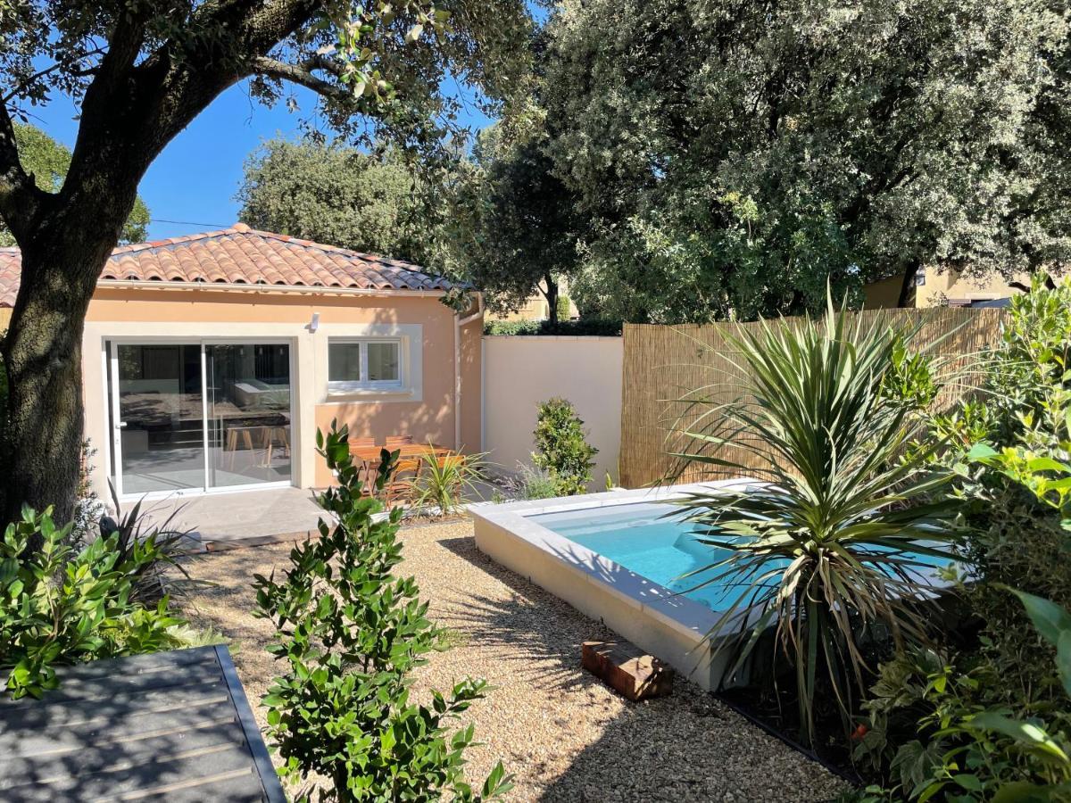 Magnifique Villa Avec Piscine En Provence Bédarrides エクステリア 写真